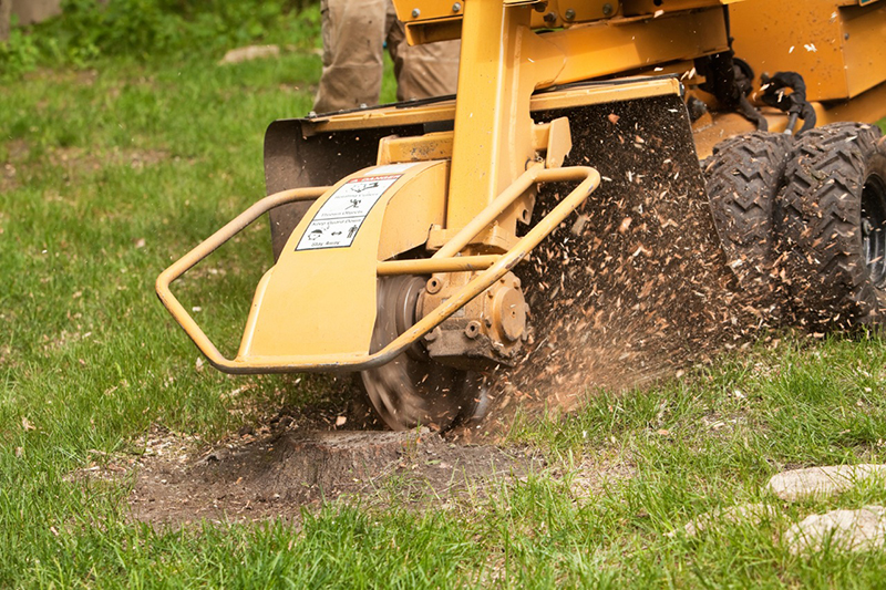 What Are The Risks of DIY Stump Removal?