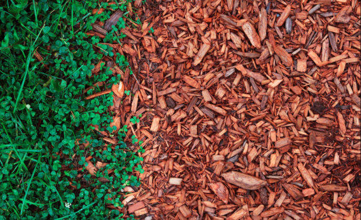 The Benefits of Using Mulch for Your Garden
